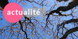 actualite-05